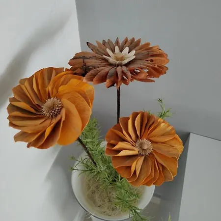 La Marija 홈스테이